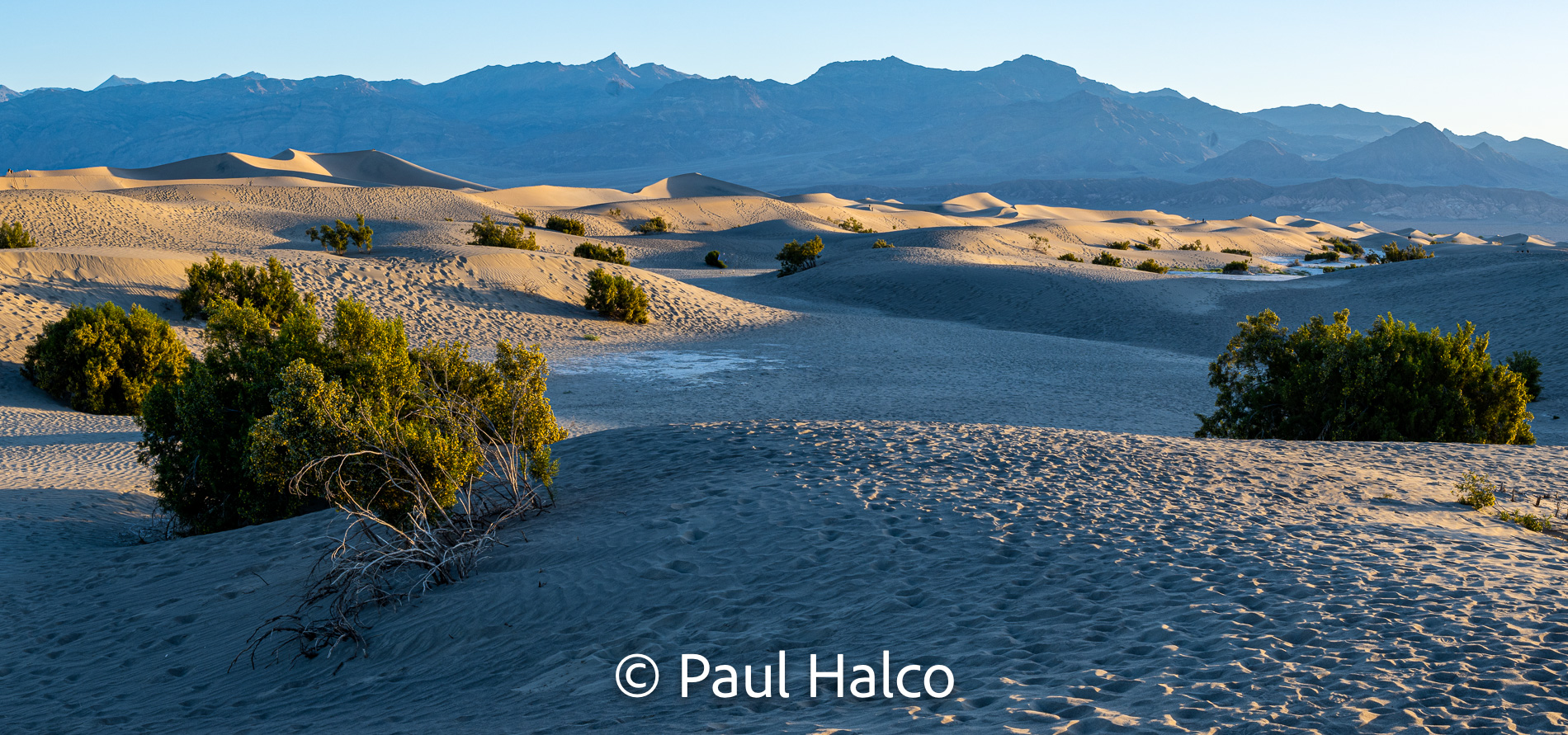 Paul Halco - Death Valley NP-13